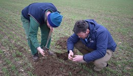 Whats happening in your region? Strategic Cereal Farm Scotland research update